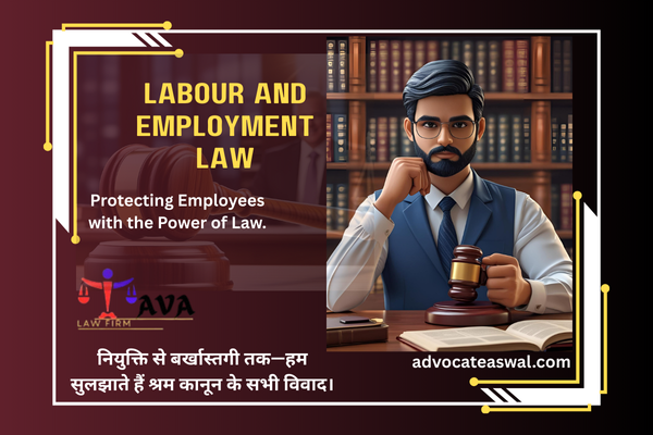Labour and Employment Law advocate